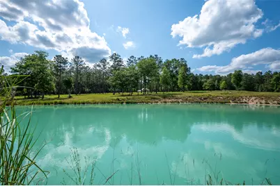 1068 County Road 3200, Colmesneil, TX 75938 - Photo 9