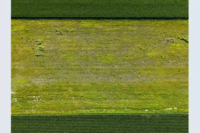 Tbd Vacek Road, Palacios, TX 77465 - Photo 7