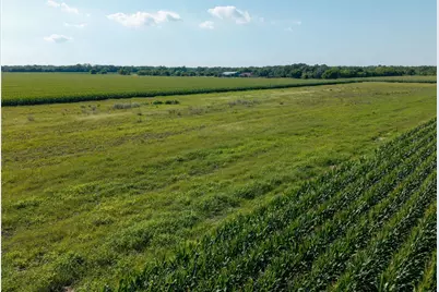 Tbd Vacek Road, Palacios, TX 77465 - Photo 5