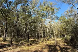 9367 Fm 149 Rd, Montgomery, TX 77316 - Photo 3