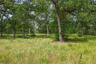 13172 Jackrabbit Ln, Bryan, TX 77808 - Photo 43