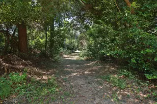 3018 McDonald Ct, Spring, TX 77380 - Photo 47