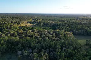 450 Dove Creek Dr, Coldspring, TX 77331 - Photo 49