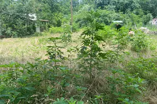 611 Danover St, Katy, TX 77494 - Photo 21