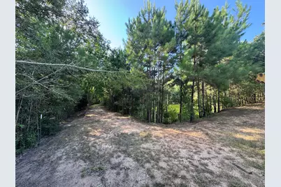 9800 Ramzi Drive, Conroe, TX 77303 - Photo 15