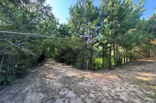9800 Ramzi Dr, Conroe, TX 77303 - Photo 15