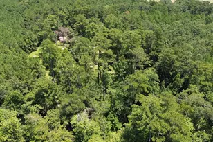 173 Private Rd 8009, Newton, TX 75966 - Photo 29