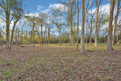 0 Fm-1008, Dayton, TX 77535 - Photo 15