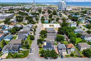 827 Winnie St, Galveston, TX 77550 - Photo 47