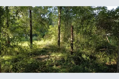 00 Spanish Oaks Dr, New Caney, TX 77357 - Photo 3