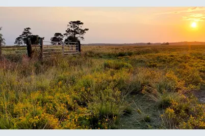 000 Hwy 65, Anahuac, TX 77514 - Photo 23