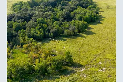 000 Hwy 65, Anahuac, TX 77514 - Photo 9