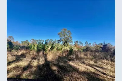 Tbd Shenandoah Lane, Livingston, TX 77351 - Photo 11