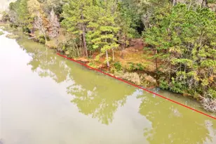 106 Ebner Lake Front Dr, Montgomery, TX 77316 - Photo 9