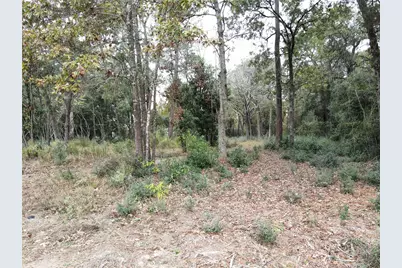 106 Ebner Lake Front Drive, Montgomery, TX 77316 - Photo 3