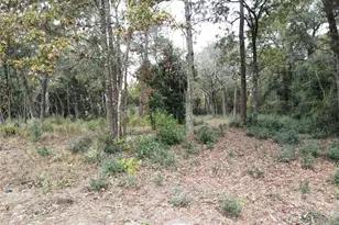 106 Ebner Lake Front Dr, Montgomery, TX 77316 - Photo 3