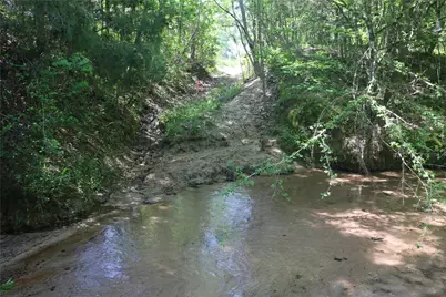 Tbd Molk Road, Willis, TX 77378 - Photo 15