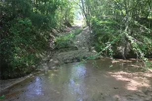 Tbd Molk Rd, Willis, TX 77378 - Photo 15