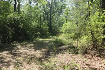 Tbd Molk Road, Willis, TX 77378 - Photo 23