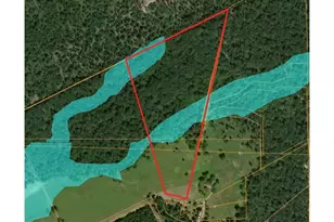 Tbd Molk Rd, Willis, TX 77378 - Photo 3