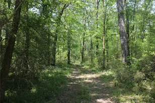 Tbd Molk Rd, Willis, TX 77378 - Photo 21