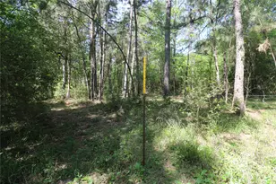 Tbd Molk Rd, Willis, TX 77378 - Photo 25