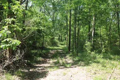 Tbd Molk Road, Willis, TX 77378 - Photo 27