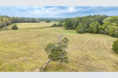 Tbd Molk Road, Willis, TX 77378 - Photo 7