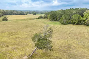 Tbd Molk Rd, Willis, TX 77378 - Photo 7