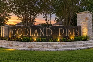 2423 Cold River Dr, Humble, TX 77396 - Photo 27