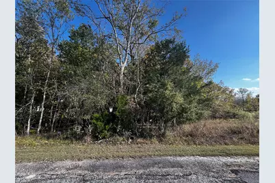 165 N Pine Harbour Drive, Coldspring, TX 77331 - Photo 3