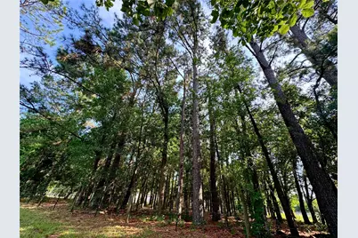 1950 County Road 540, Alvin, TX 77511 - Photo 5