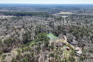 6185 Forest Dr, Cleveland, TX 77328 - Photo 49