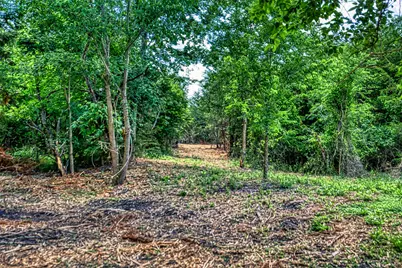 Lot 8 Wonder Hill Road, Chappell Hill, TX 77426 - Photo 7