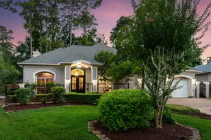 6 Harbor Cove Dr, The Woodlands, TX 77381 - Photo 41
