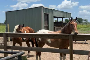 1604 Co Rd 370, El Campo, TX 77437 - Photo 43