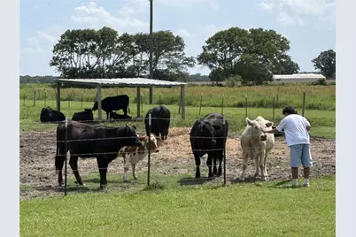 1604 County Road 370, El Campo, TX 77437 - Photo 35