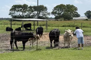 1604 Co Rd 370, El Campo, TX 77437 - Photo 35