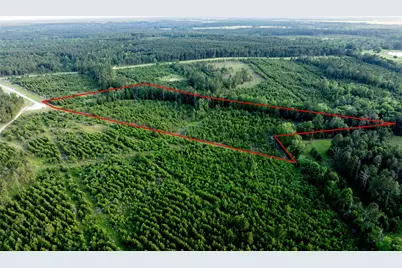 Tract 171 Calhoun Ct, Lovelady, TX 75851 - Photo 9