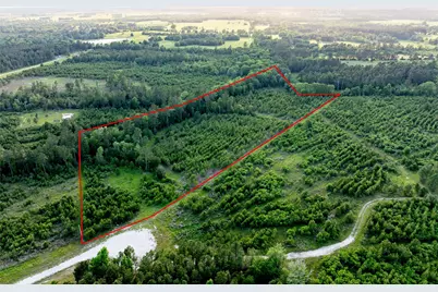 Tract 171 Calhoun Ct, Lovelady, TX 75851 - Photo 7