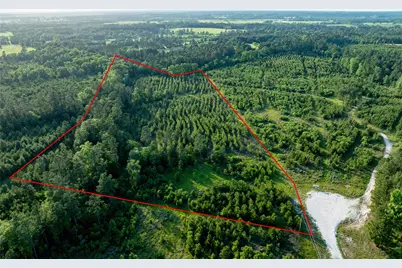 Tract 171 Calhoun Ct, Lovelady, TX 75851 - Photo 3