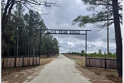 Tract 171 Calhoun Ct, Lovelady, TX 75851 - Photo 25