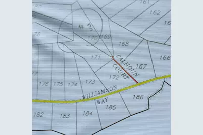 Tract 171 Calhoun Ct, Lovelady, TX 75851 - Photo 29