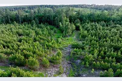 Tract 171 Calhoun Ct, Lovelady, TX 75851 - Photo 5