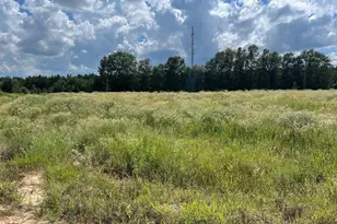 176 Road 5102L, Cleveland, TX 77327 - Photo 27