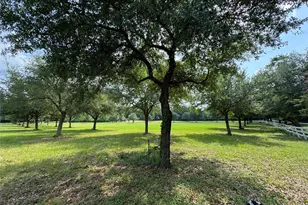 24077 Old Dobbin Plantersvil Rd, Montgomery, TX 77316 - Photo 21