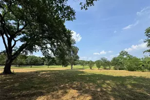 24077 Old Dobbin Plantersvil Rd, Montgomery, TX 77316 - Photo 7