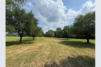 24077 Old Dobbin Plantersvil Road, Montgomery, TX 77316 - Photo 3