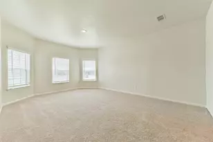 1123 Rare Fancy Dr, Iowa Colony, TX 77583 - Photo 17