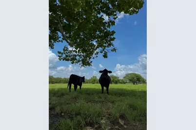 Tract 1 Foster School Road, Needville, TX 77461 - Photo 21